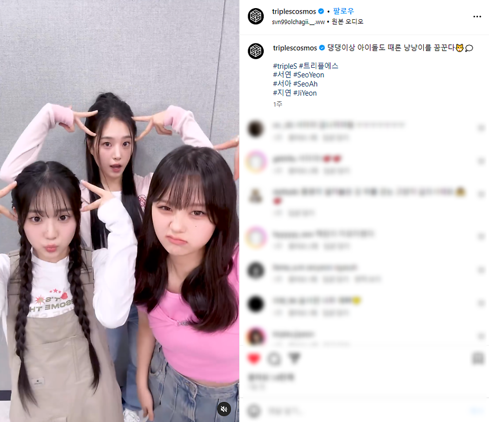 서연어패럴 이미지