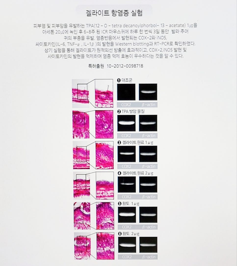 한우고기소 이미지