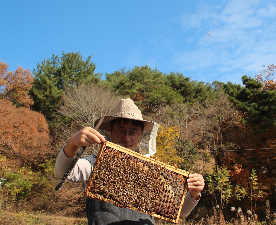 지리산 산청시골농장 이미지