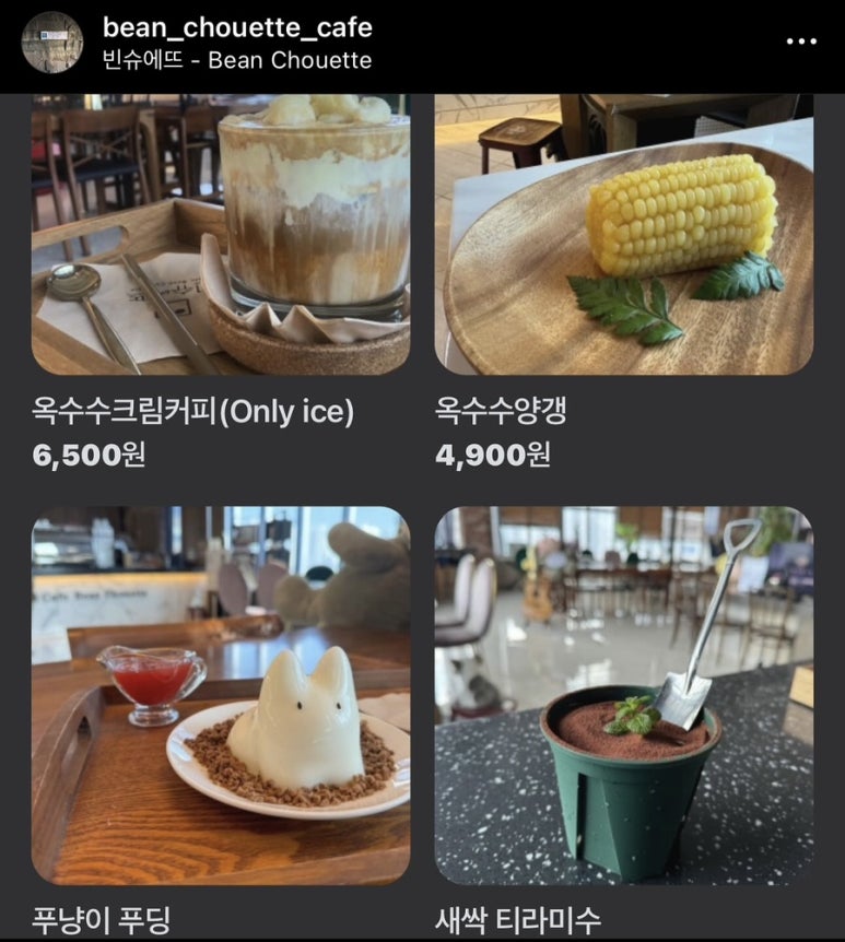 빈슈에뜨 이미지