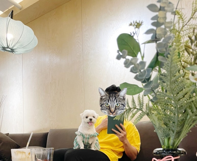 카페댕하우스 이미지