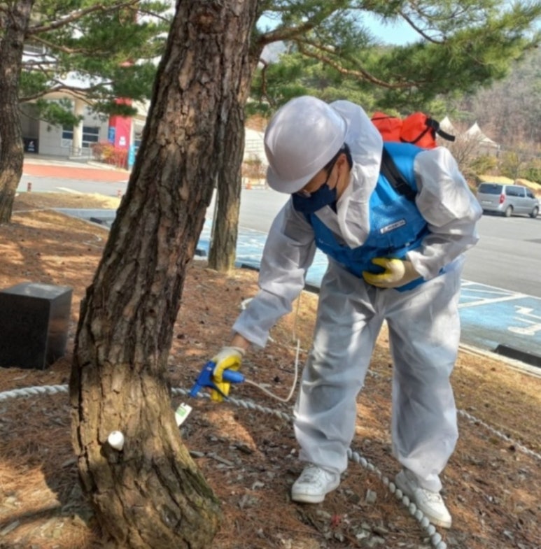 대구나무병원 이미지
