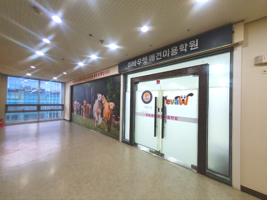대전애견미용학원 이미지