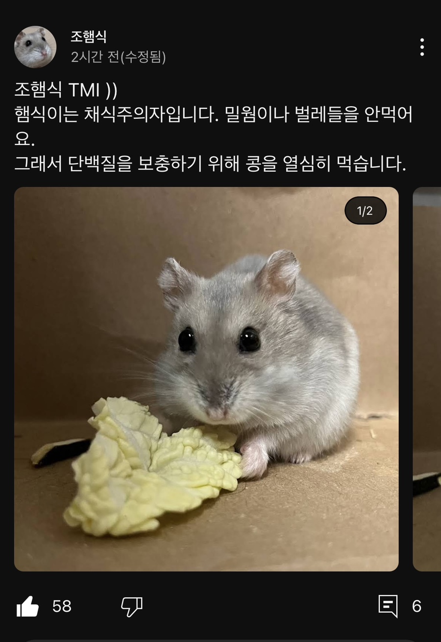 냠냠 이미지