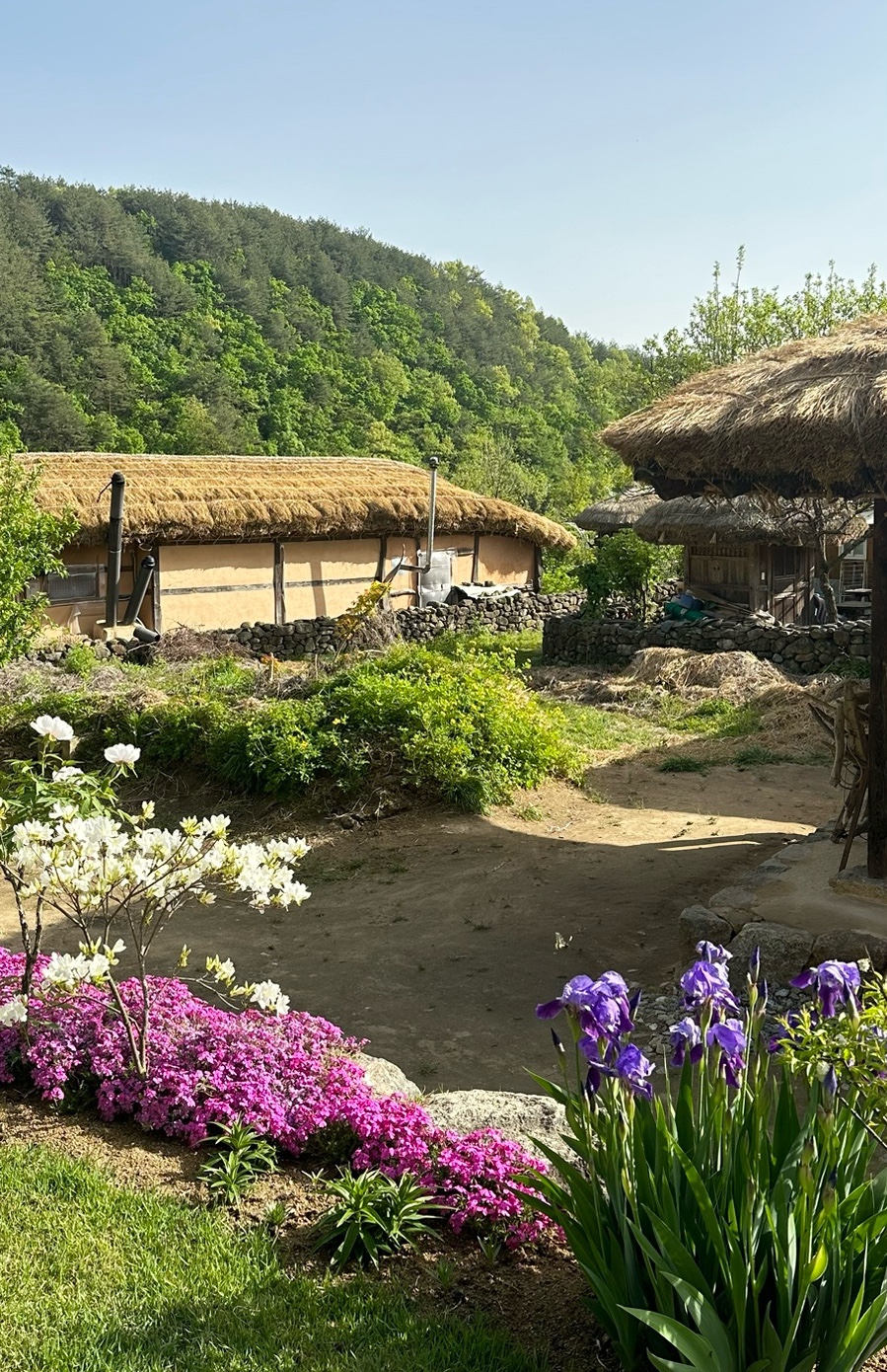 김진호가옥 이미지