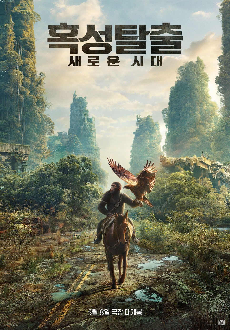 조쉬컴퍼니 이미지