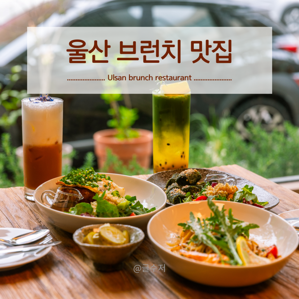 백비티클래식 이미지