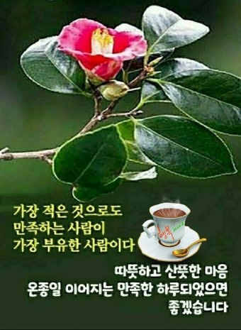 옷니엘 이미지