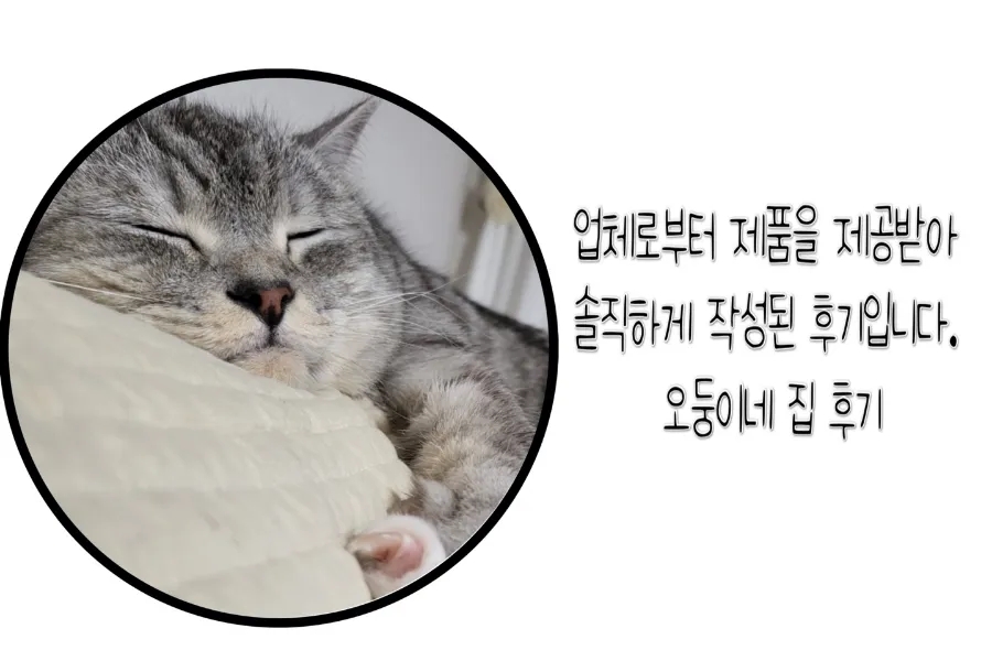 으뜸이노베이션 이미지