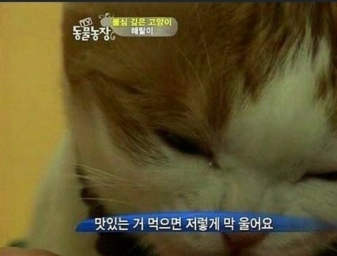 서울갈비대전 이미지