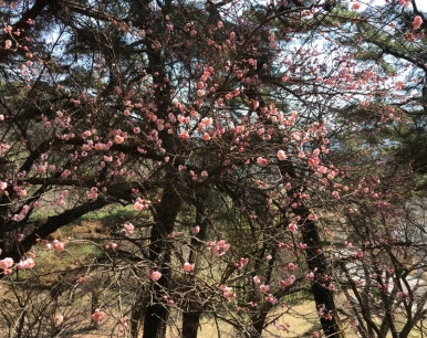 (사)문화생활지킴이 이미지