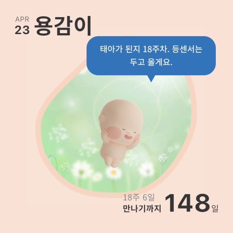장원칼국수 이미지