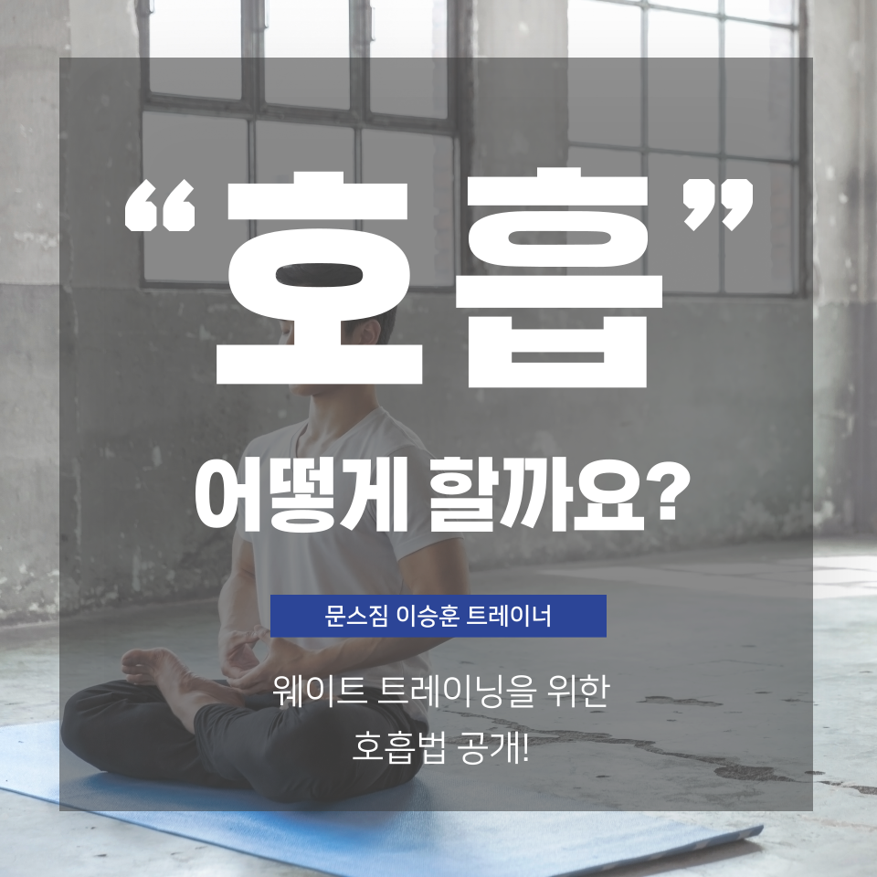 문스짐피티샵 이미지
