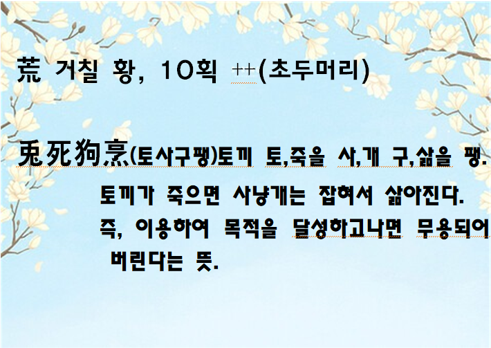 클로엠 이미지