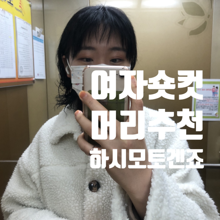 하시모토겐죠미장 이미지