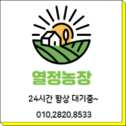 모션그릿 이미지