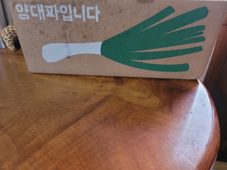 물조리자리 이미지