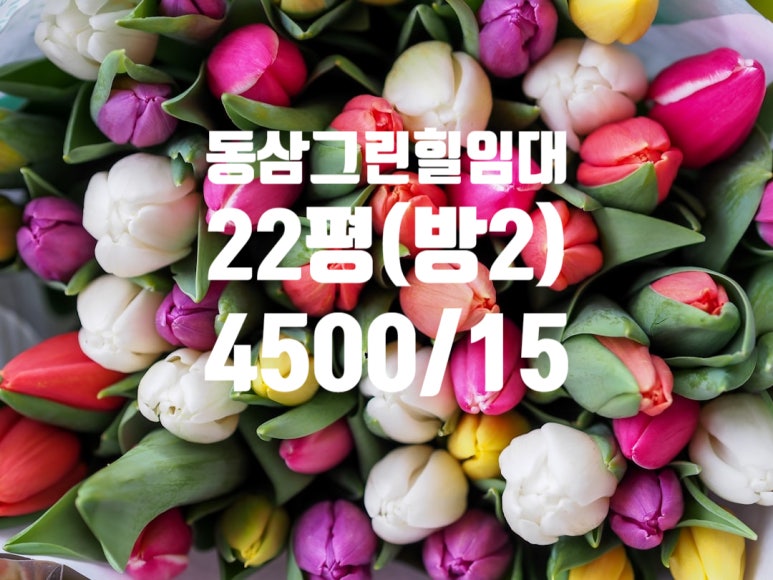 다산임대 이미지