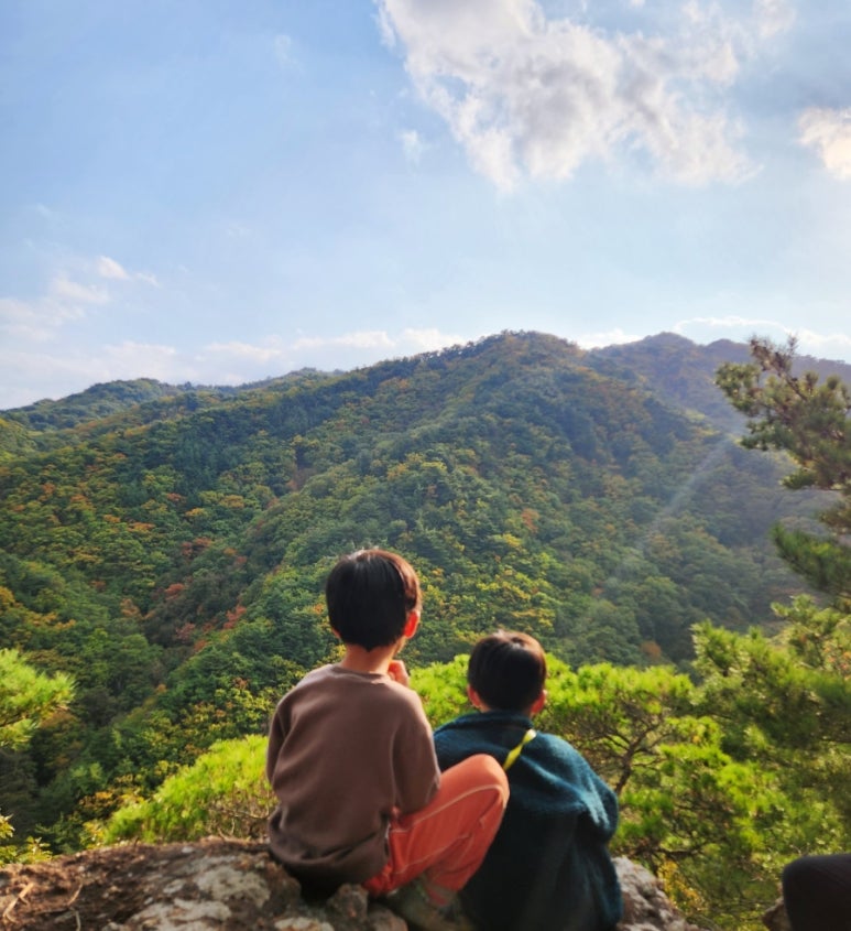 운제산 유아숲체험원 이미지