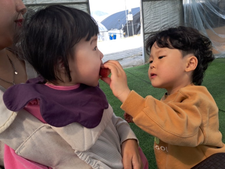 푸르디농장 이미지