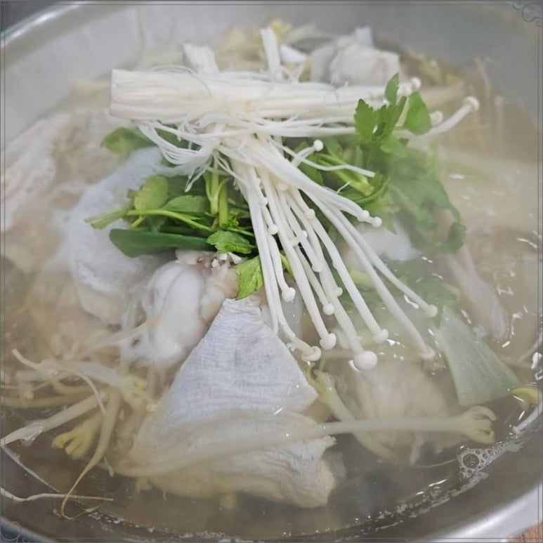 으뜸복어 이미지