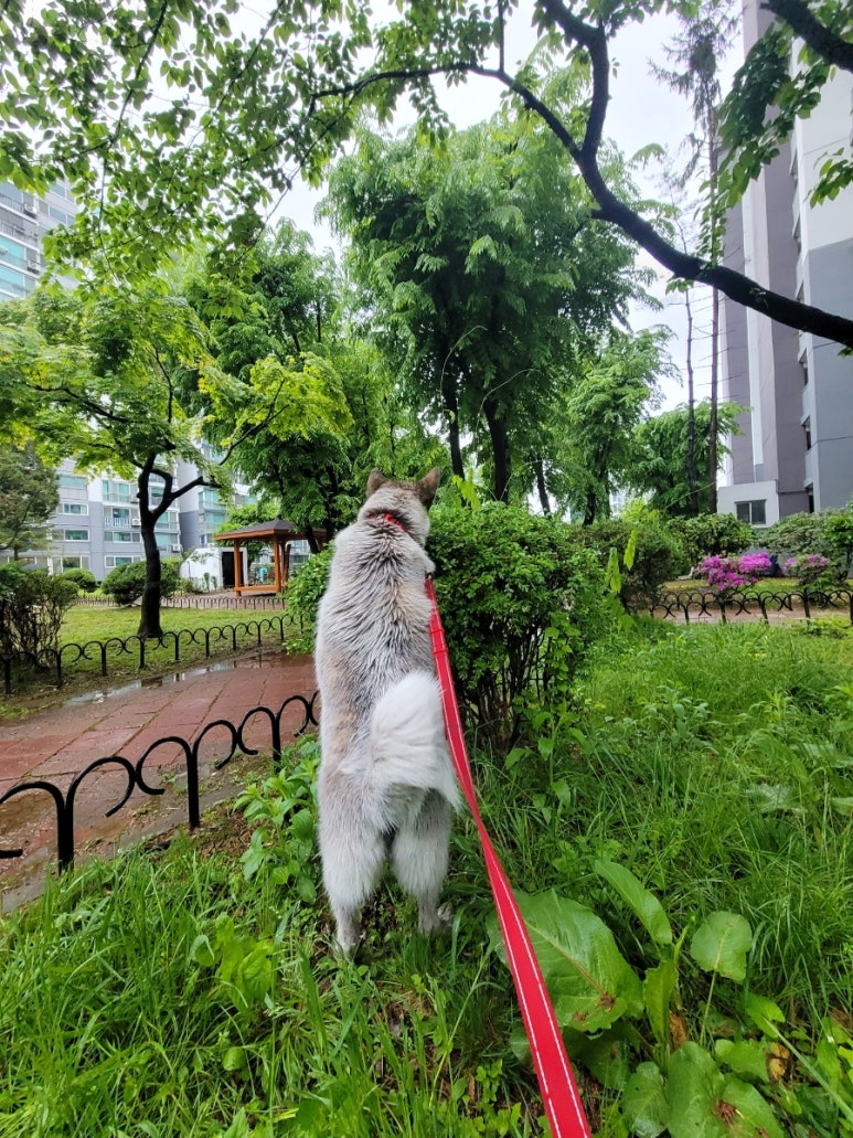 레오방앗간 이미지