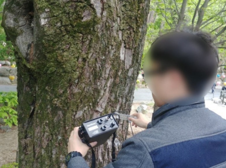 대구나무병원 이미지
