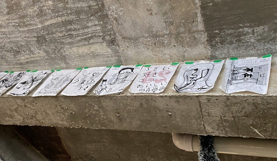 코히 이미지