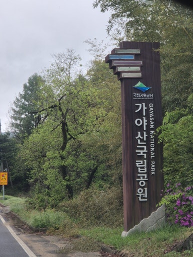 별언덕 이미지