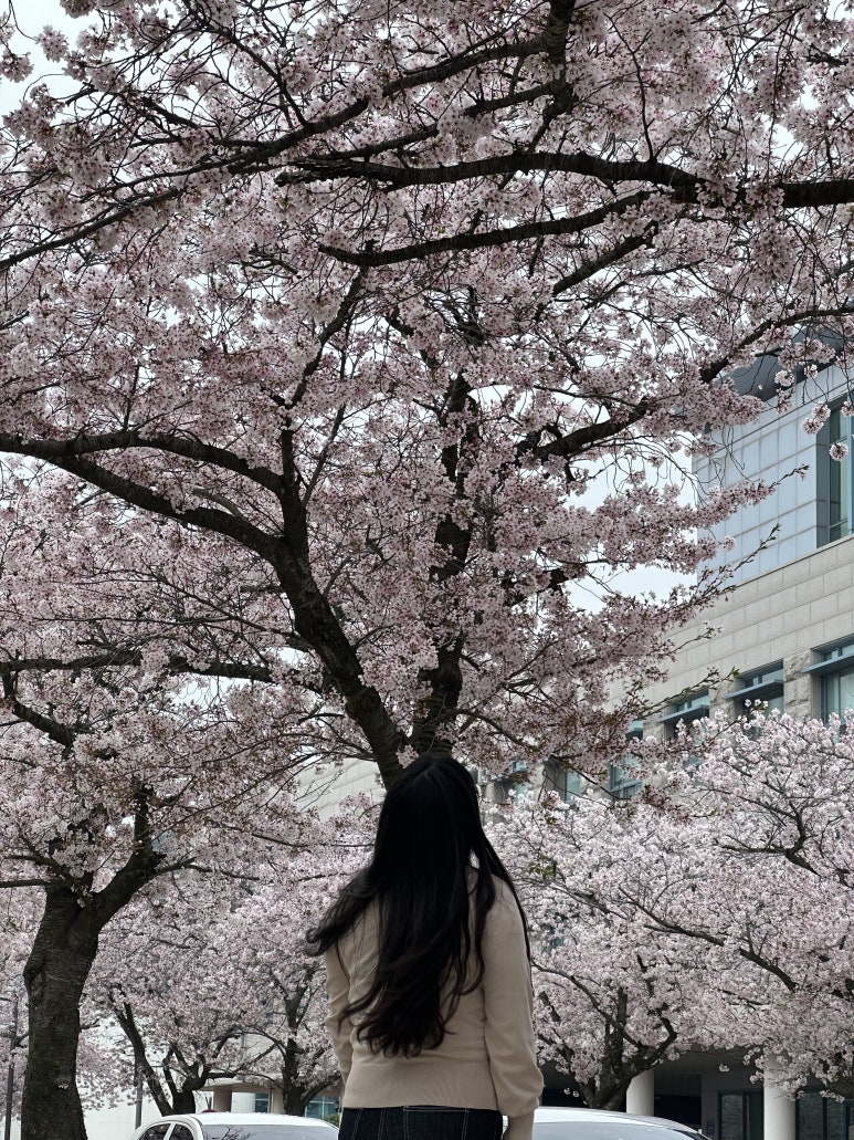 썬타코앤카페 이미지