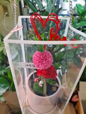 쩡아네정원 이미지