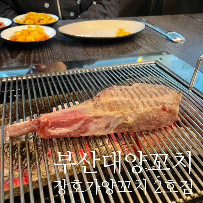 장호가양꼬치 이미지