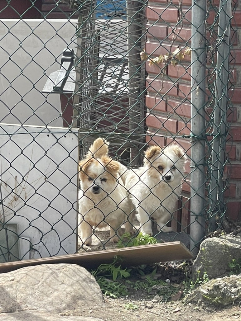 파리바게뜨신철원 이미지