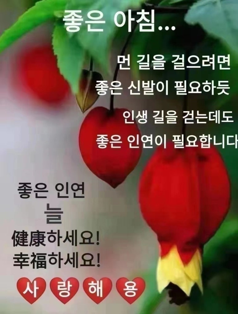 한세상 이미지
