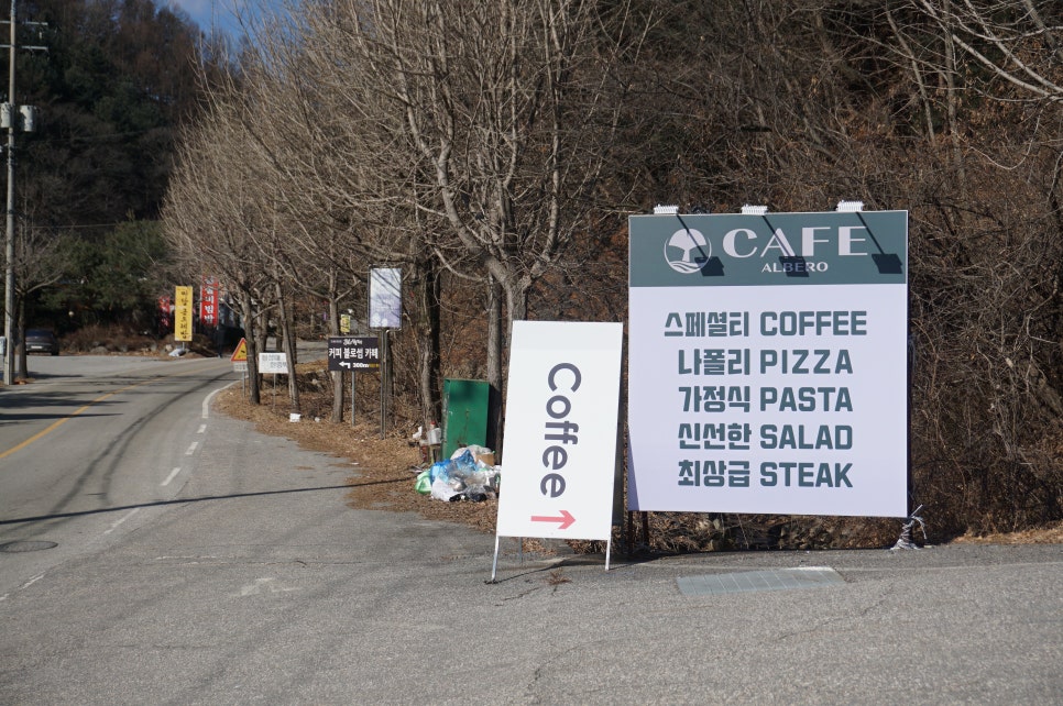 알베로 이미지