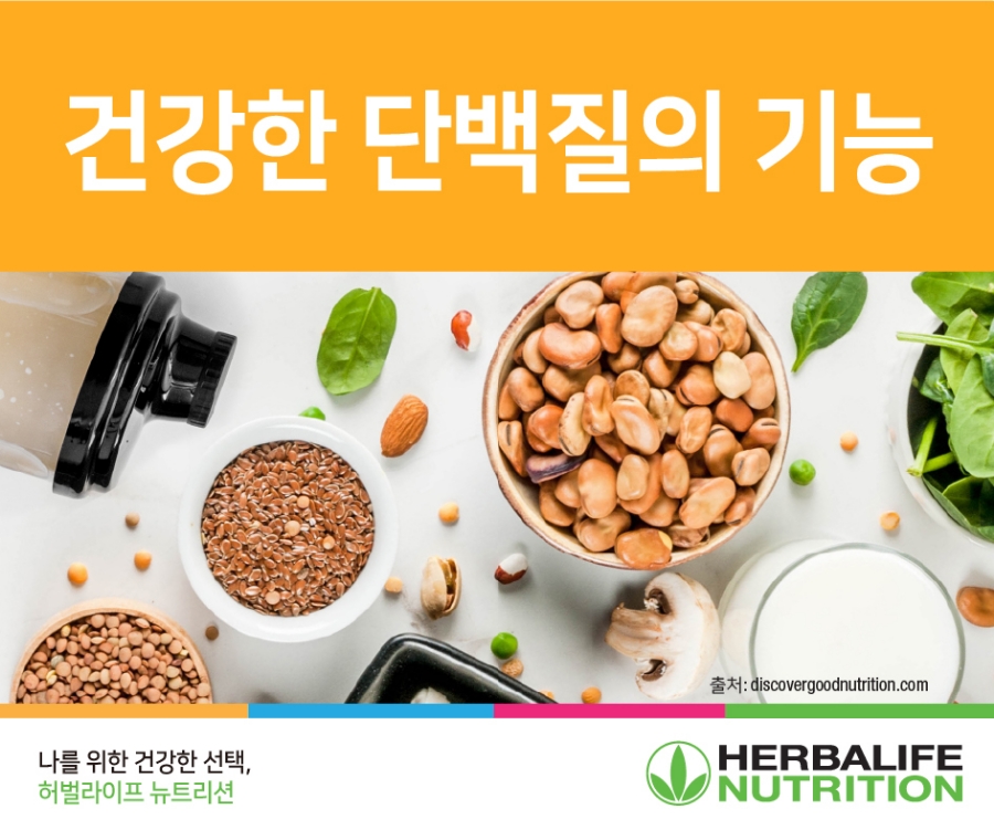 온다점핑 이미지