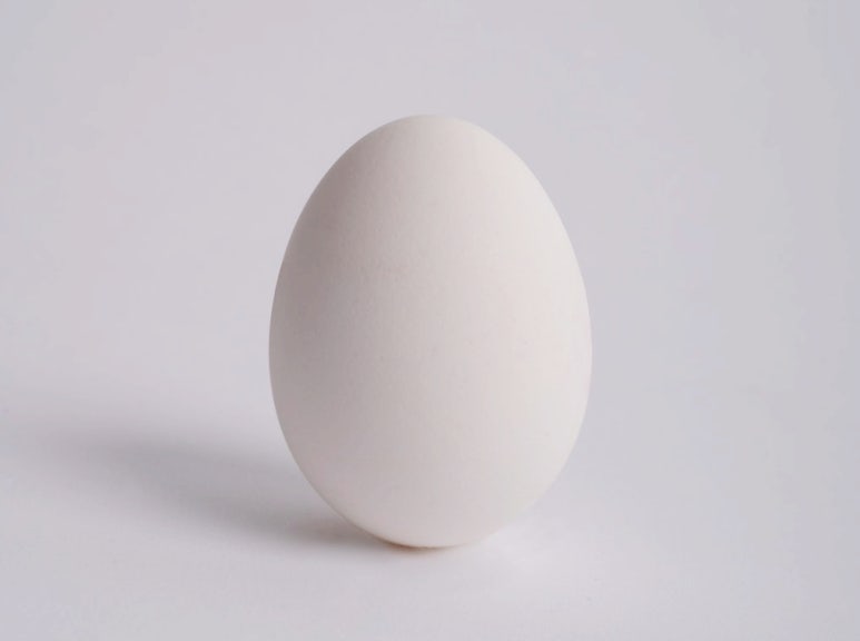 달걀책방 이미지