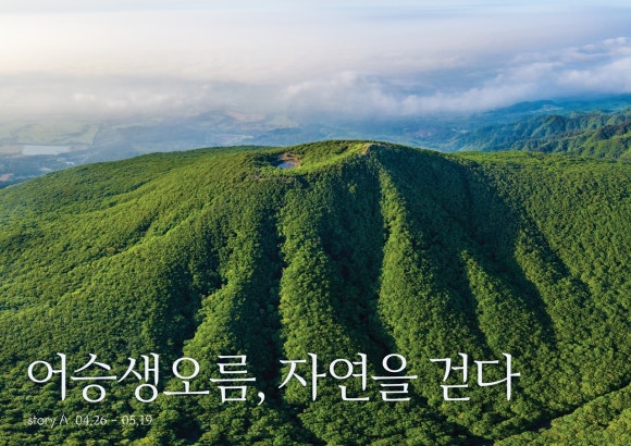 퍼시픽사운드 이미지