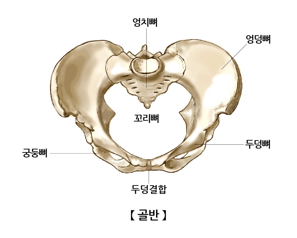 필샵 이미지