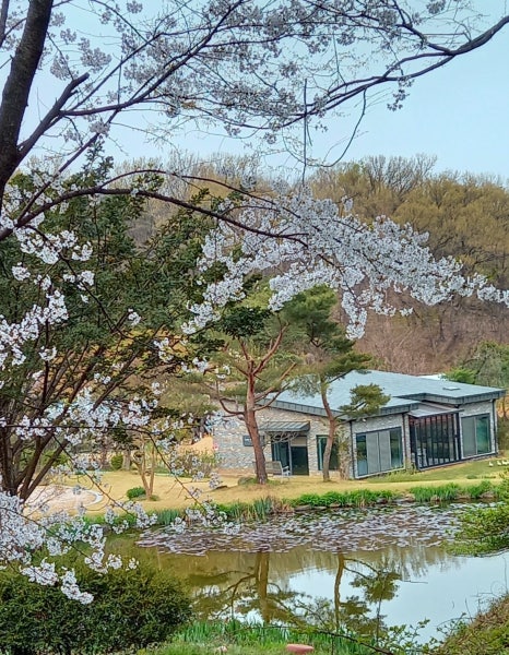 옥란재 이미지