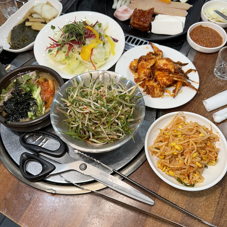 탐라도야지 이미지