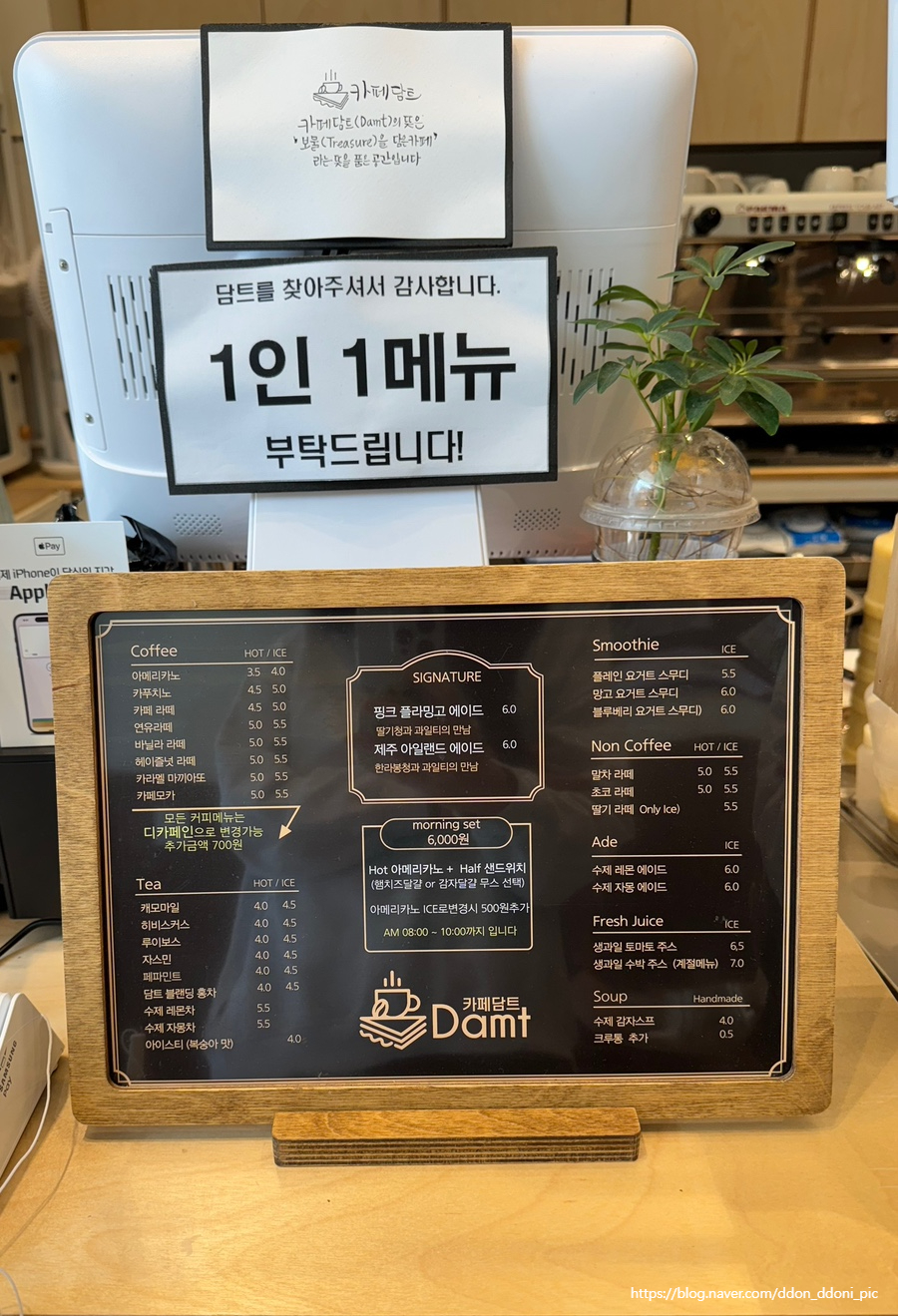 담트 이미지
