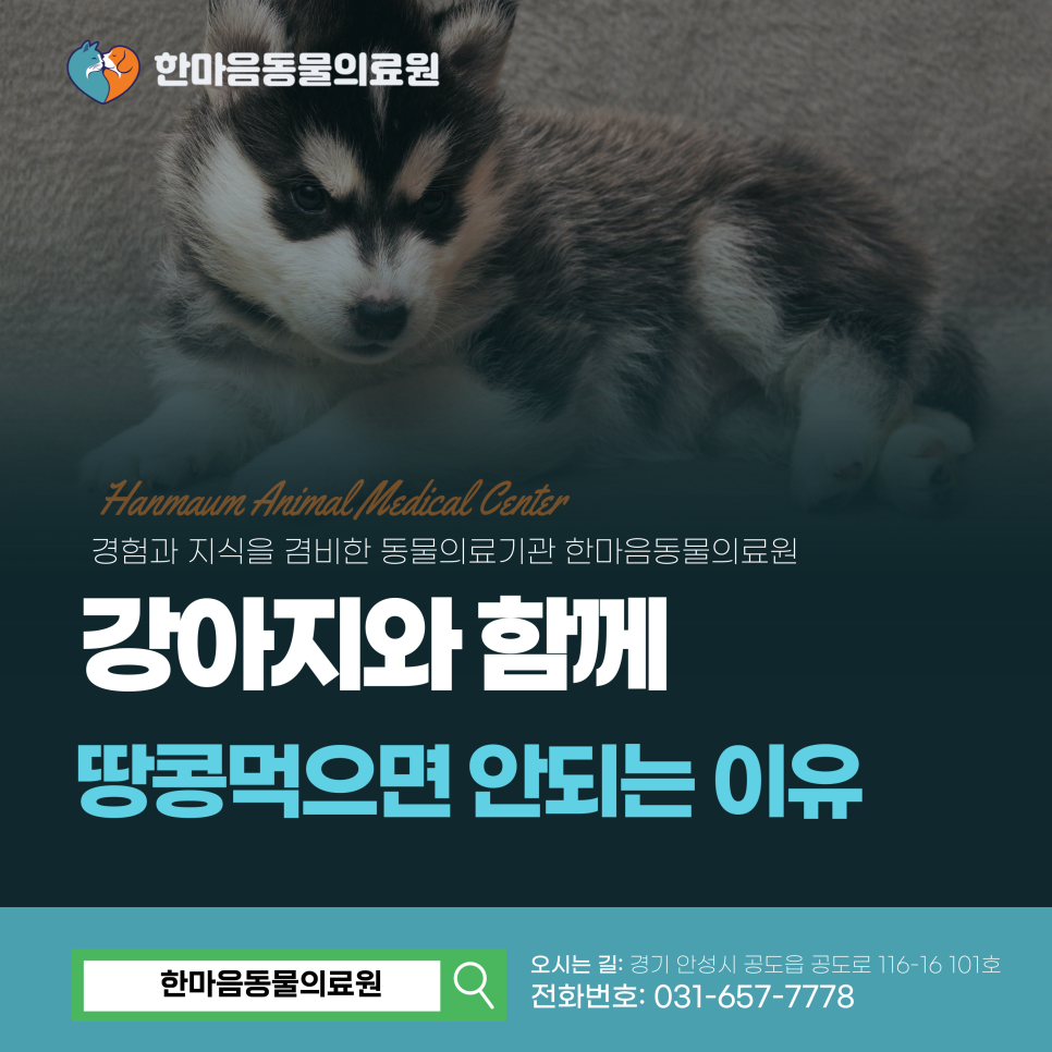 한마음 견과 이미지