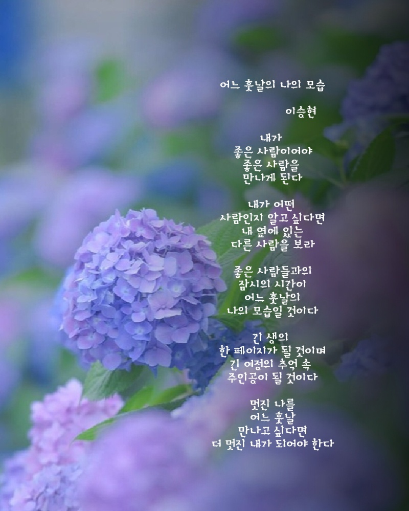 이승현갤러리 이미지
