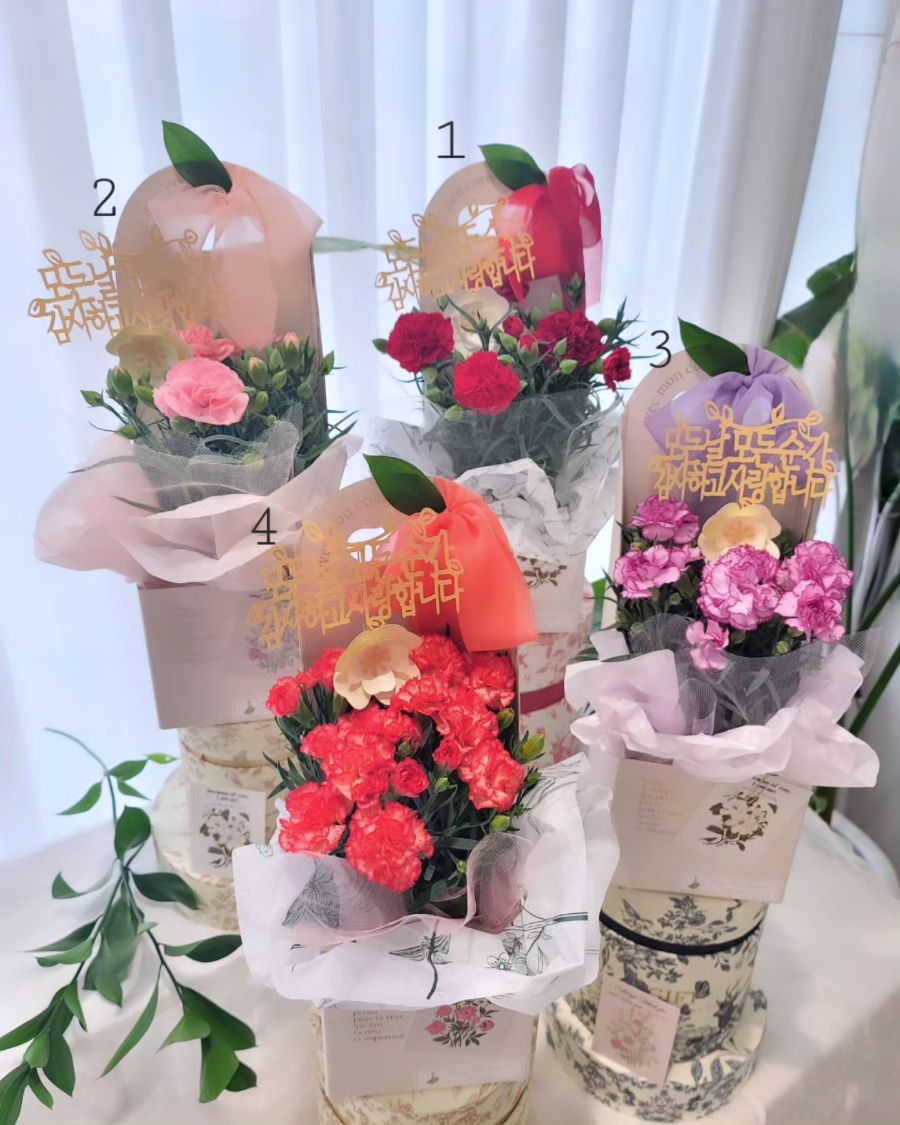 메호르디아 이미지