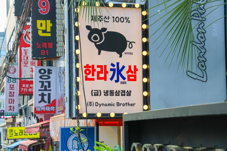 한라빙삼 이미지