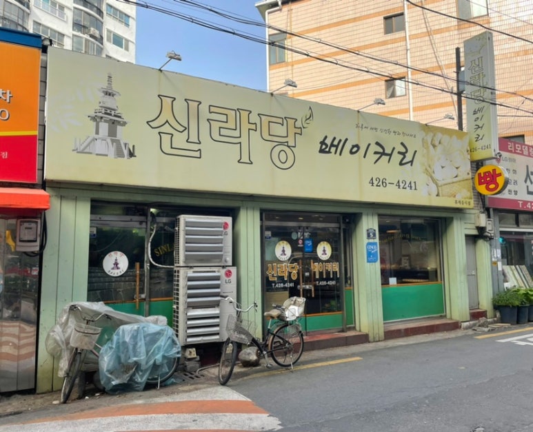 신라당 이미지