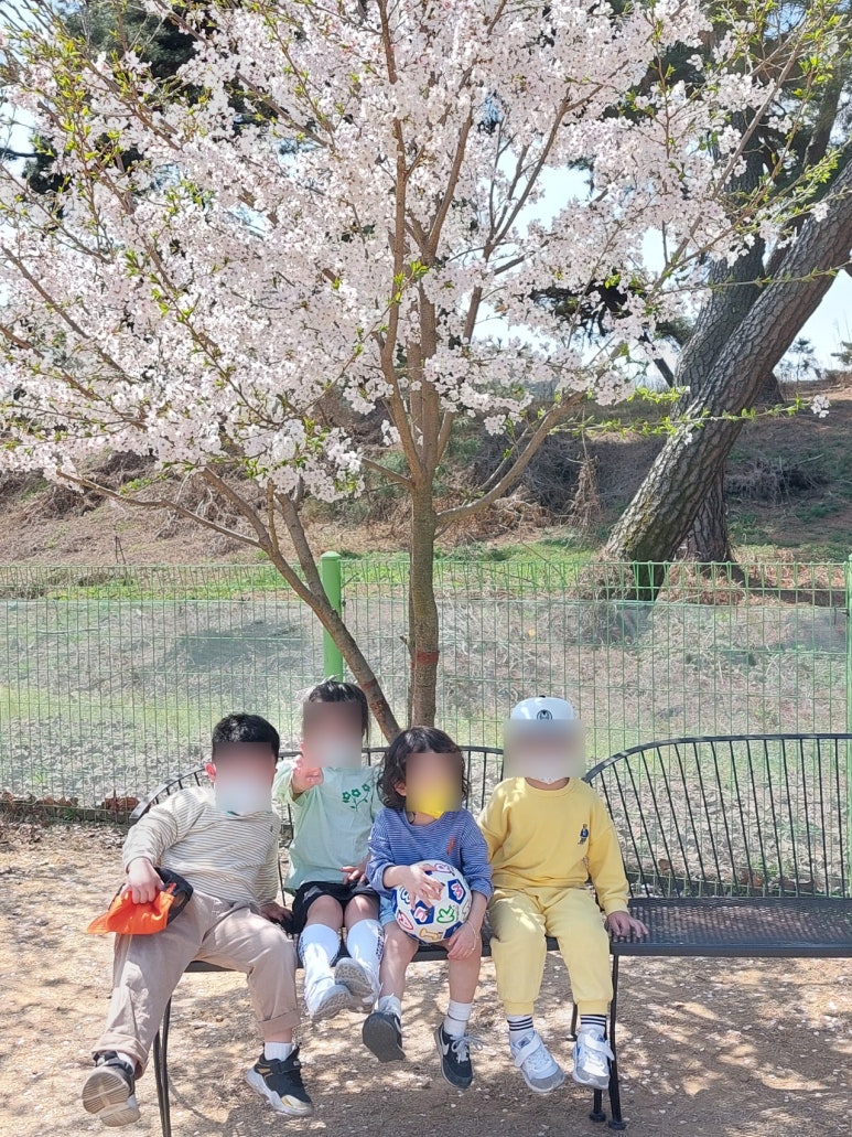 킨더그린어린이집 이미지