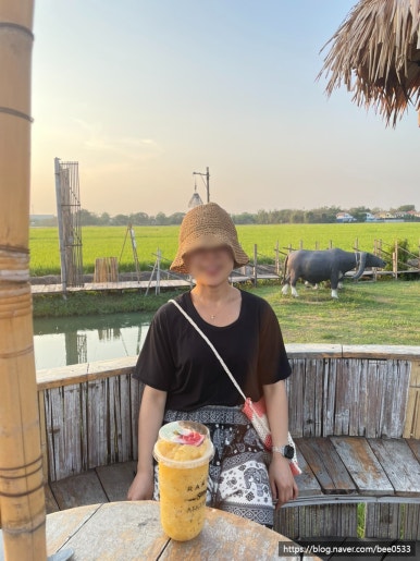 투어일일사주 이미지