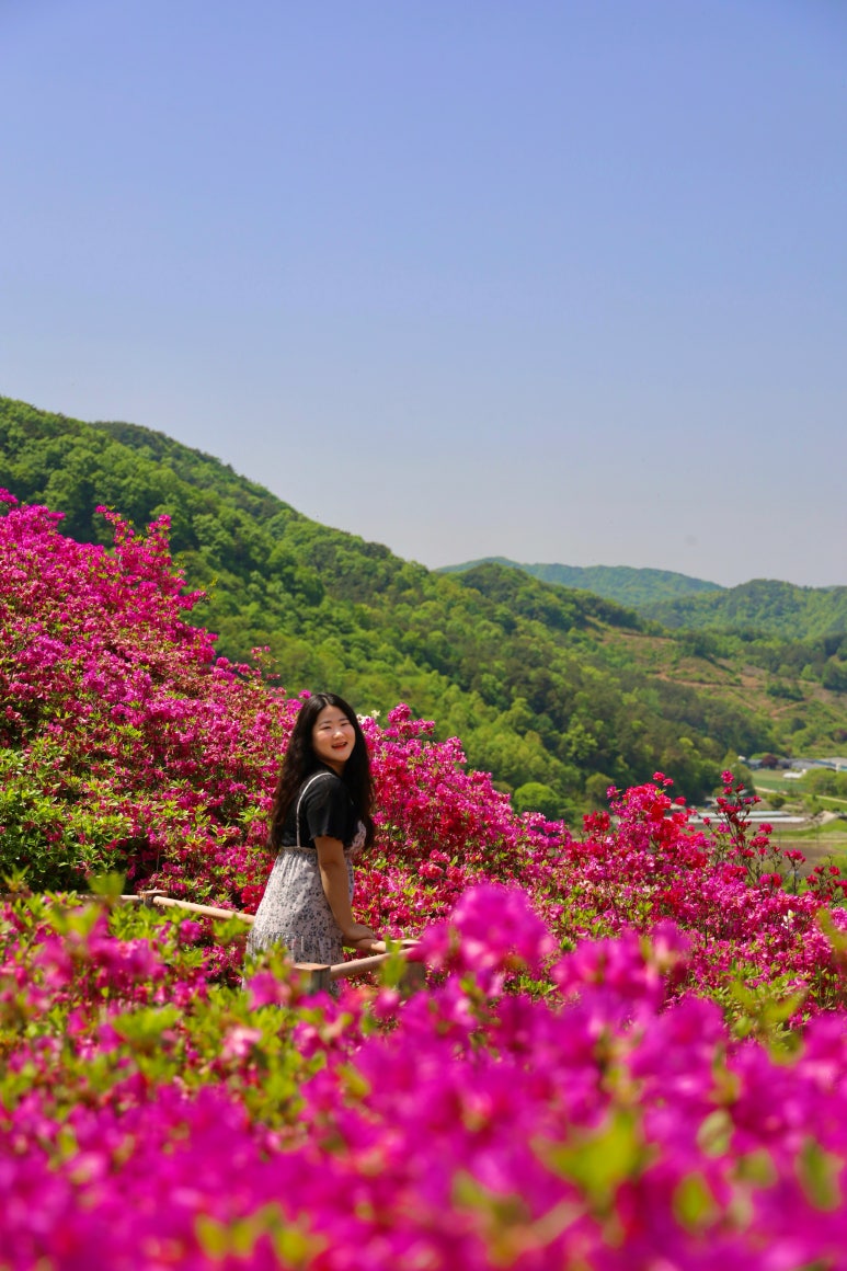 화산신발 이미지